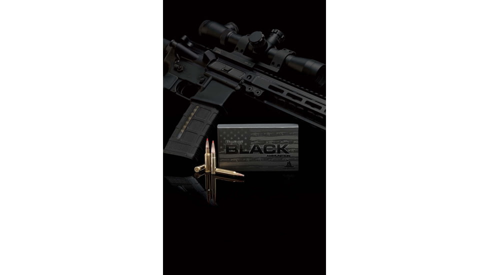 Hornady BLACK 300 Blackout 110 Grain Ntx Brass Cased Rifle Ammo, 20 Rounds, 80862