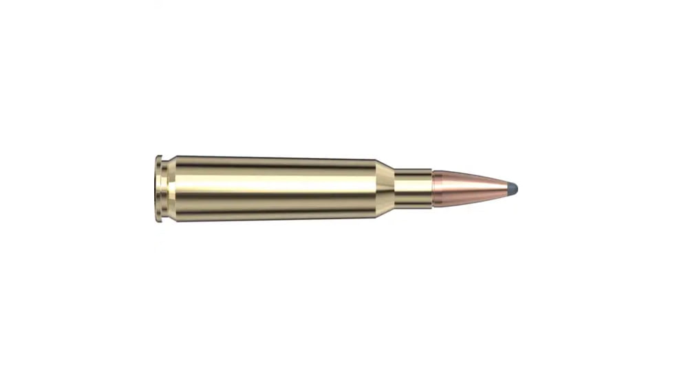Hornady Custom .250 Savage 100 grain InterLock SP Brass Cased Centerfire Rifle Ammo, 200 Round