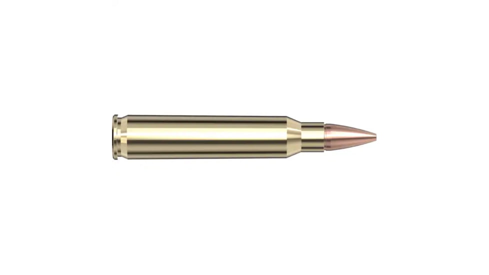 Hornady Frontier .223 Remington 55 grain Hollow Point Brass Cased Centerfire Rifle Ammo, 500 Round