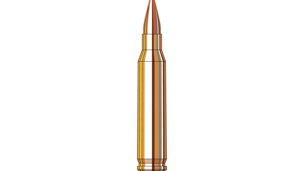 Hornady Frontier 5.56x45mm NATO 55 grain Hollow Point Brass Cased Centerfire Rifle Ammo, 50 Rounds, FR2405