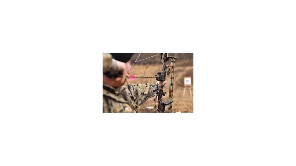 Hunting With a Compound Bow