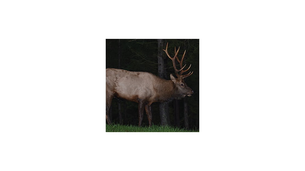 Be sure to set your trail cam appropriately for the target species.