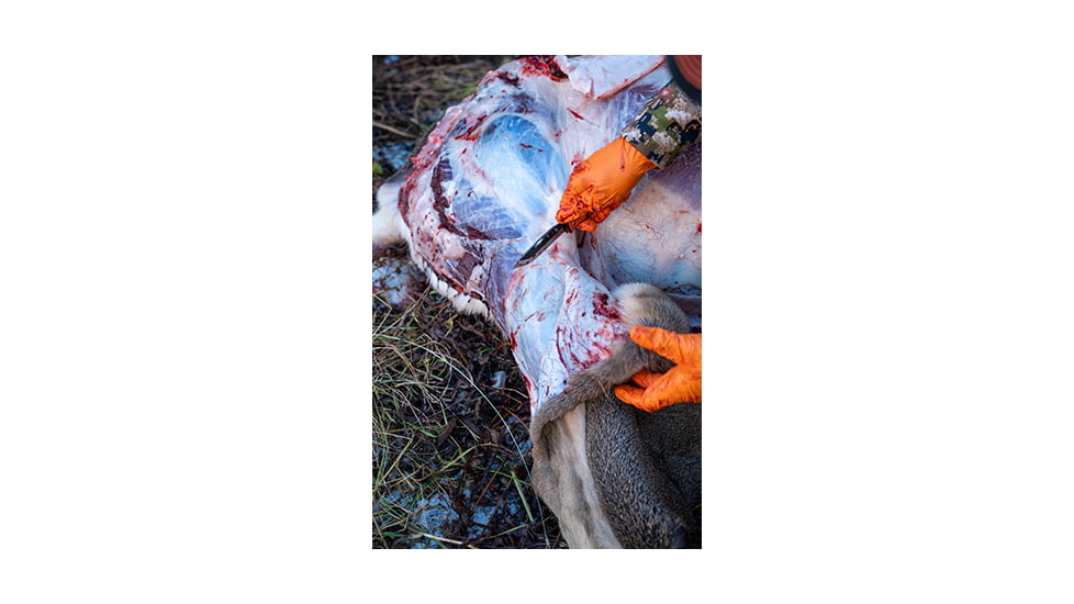 Removing Hide From Deer