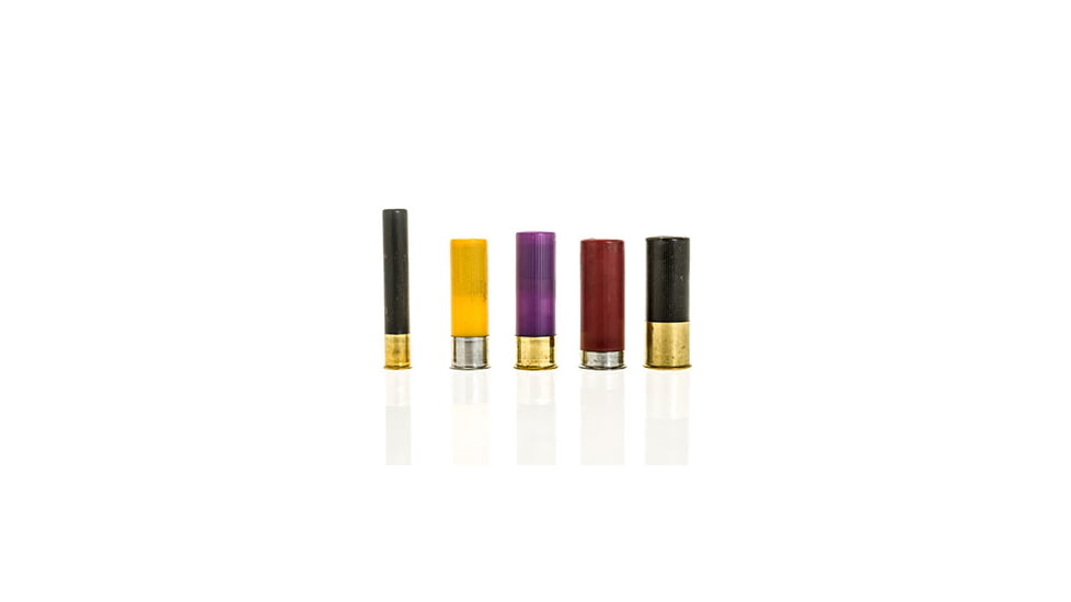 Several gauges of shotgun shells.