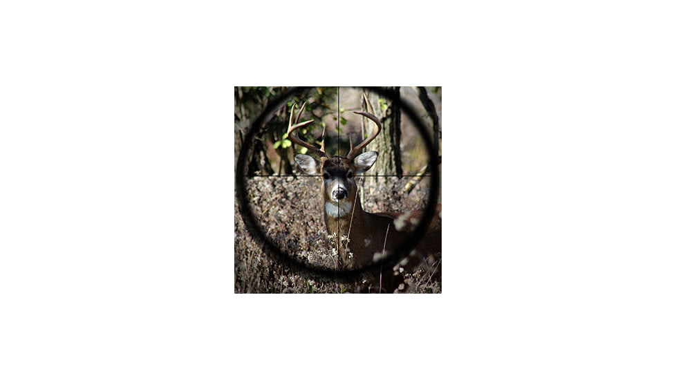 hunter aiming at deer with rifle scope