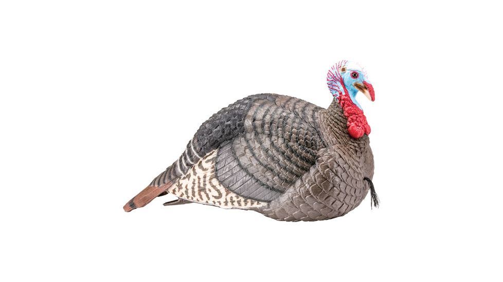 Hunters Specialties Strut-Lite Jake Turkey Decoy