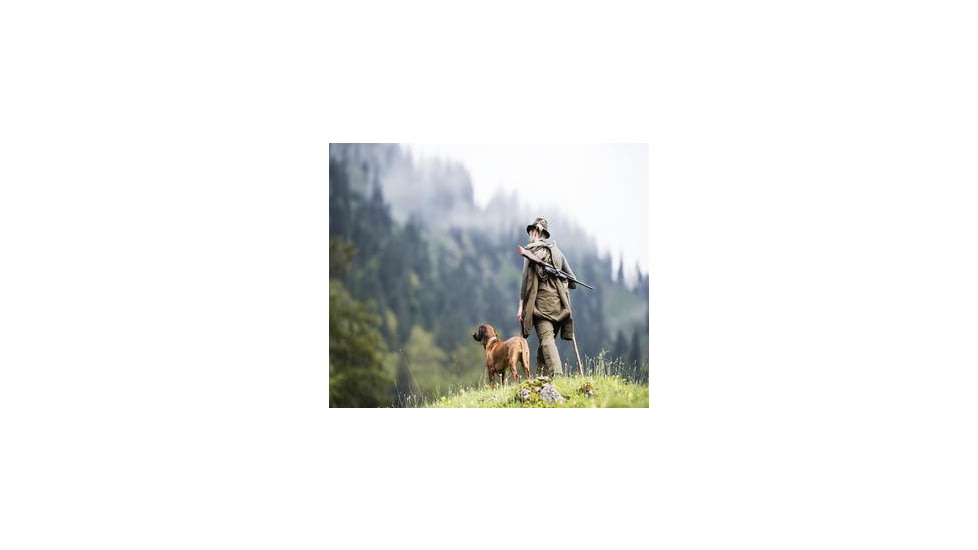 What Does a Hunting Dog Need?