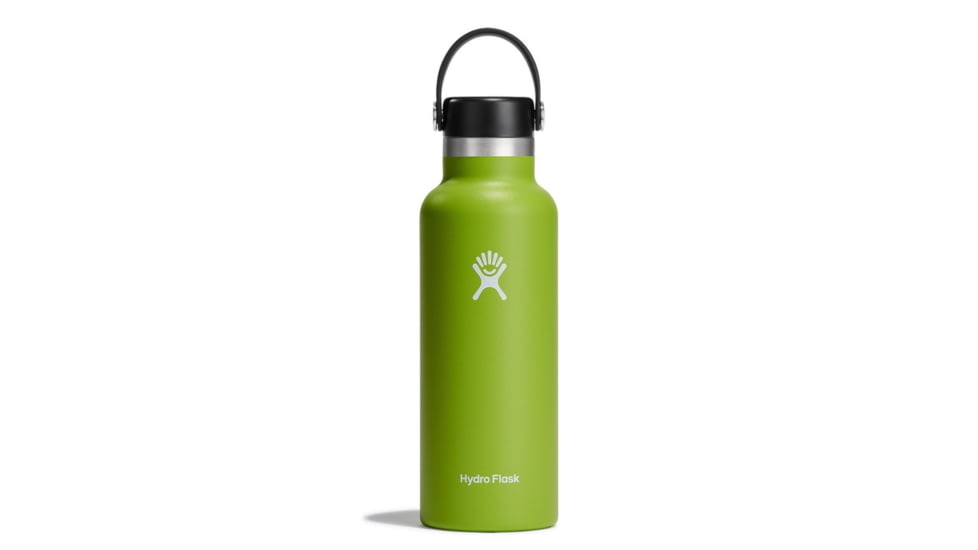 Hydro Flask 18 Oz Standard Mouth Flex Cap, Seagrass, S18SX321