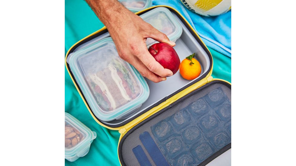 Hydro Flask Insulated Lunch Box, Sunflower, Large, LBM720