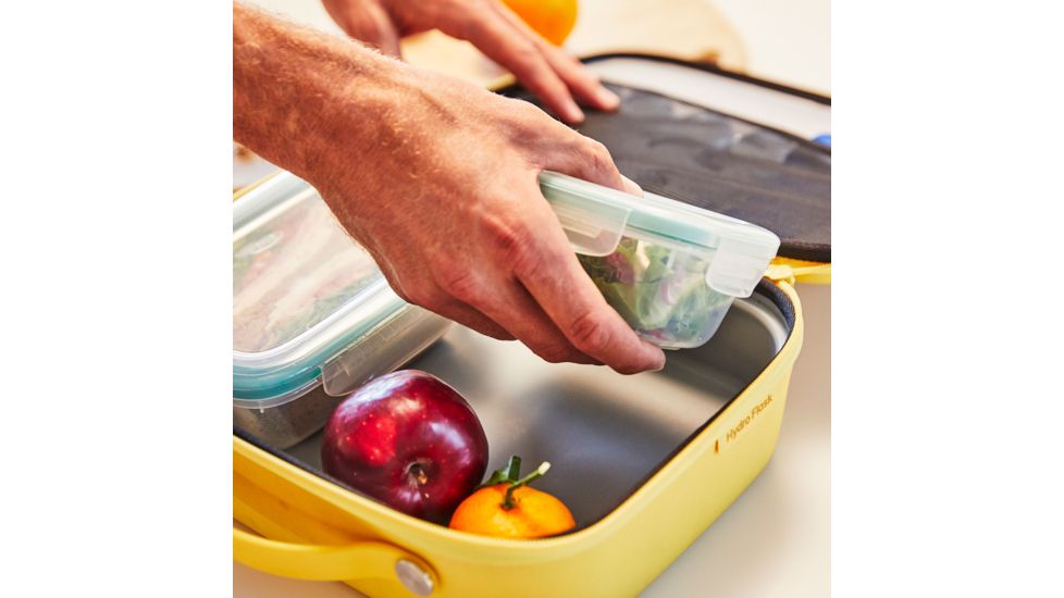 Hydro Flask Insulated Lunch Box, Sunflower, Large, LBM720