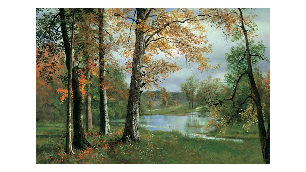 iCanvas A Quiet Pond by Albert Bierstadt Canvas Print, Multi, 18x12 ABS1-1PC3-18x12