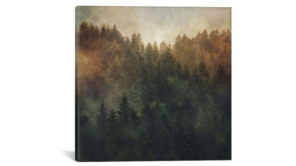 iCanvas Asleep by Tordis Kayma Canvas Print, Multi, 18 x 18 TDS3-1PC3-18x18