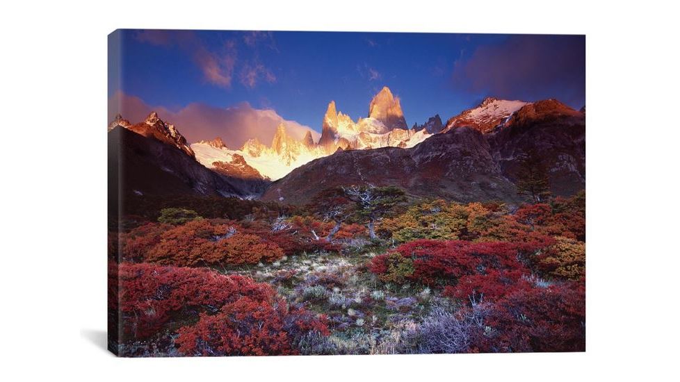 iCanvas Autumn Foliage, Monte Fitz Roy, Parque Nacional los Glaciares, Patagonia, Argentina by Gareth McCormack Canvas Print, Multi, 12 x 18 GAR2-1PC3-18x12
