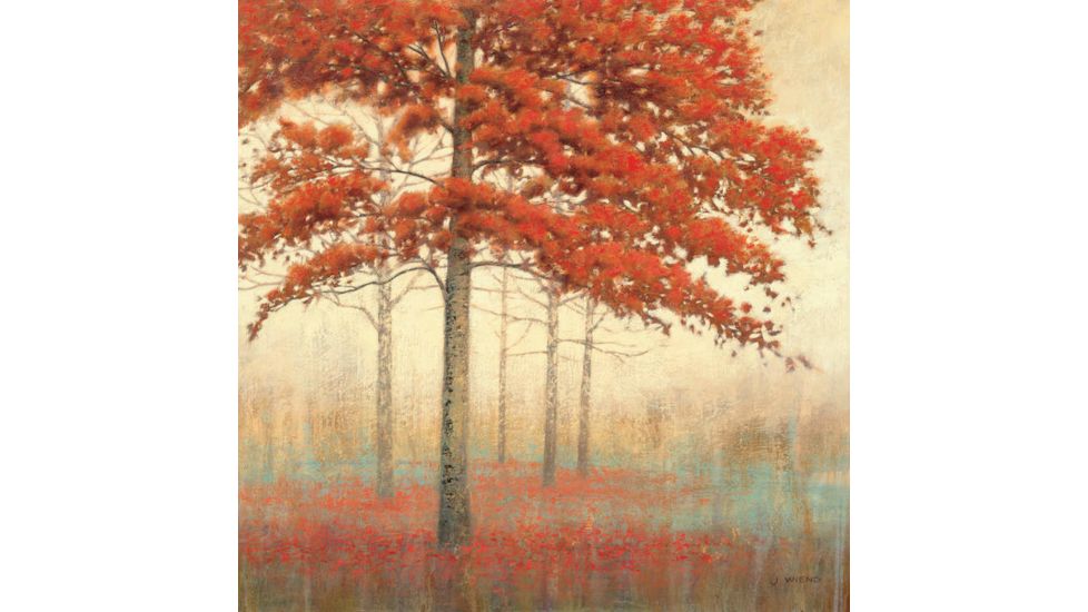iCanvas Autumn Trees II by James Wiens Canvas Print, Multi, 37x37x0.75 WAC1707-1PC3-37x37
