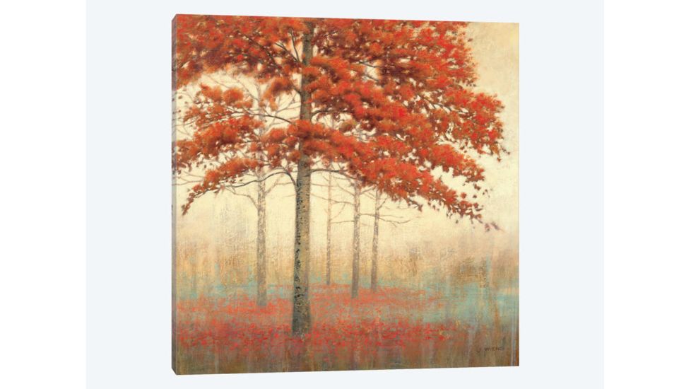 iCanvas Autumn Trees II by James Wiens Canvas Print, Multi, 37x37x0.75 WAC1707-1PC3-37x37