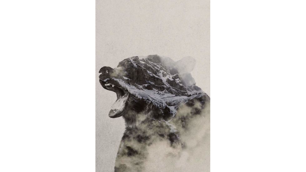 iCanvas Bear In The Fog by Andreas Lie Canvas Print, Multi, 18x12 ALE164-1PC3-18x12