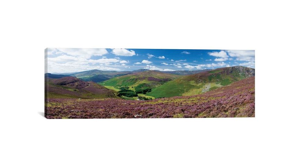 iCanvas Cloghoge Valley II, Wicklow Mountains, County Wicklow, Leinster Province, Republic Of Ireland by Gareth McCormack Canvas Print, Multi, 12 x 36 GAR12-1PC3-36x12