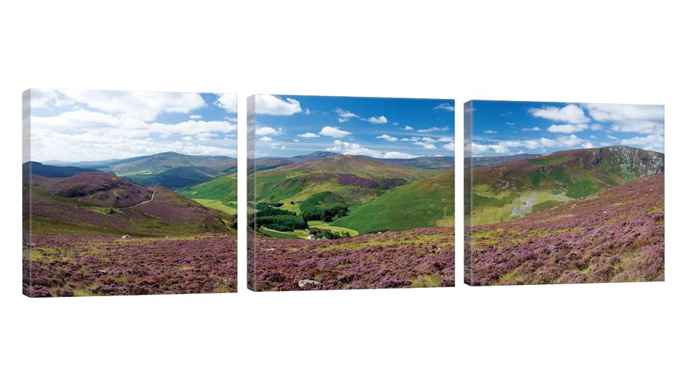 iCanvas Cloghoge Valley II, Wicklow Mountains, County Wicklow, Leinster Province, Republic Of Ireland by Gareth McCormack Canvas Print, Multi, 16 x 48 GAR12-3PC3-48x16