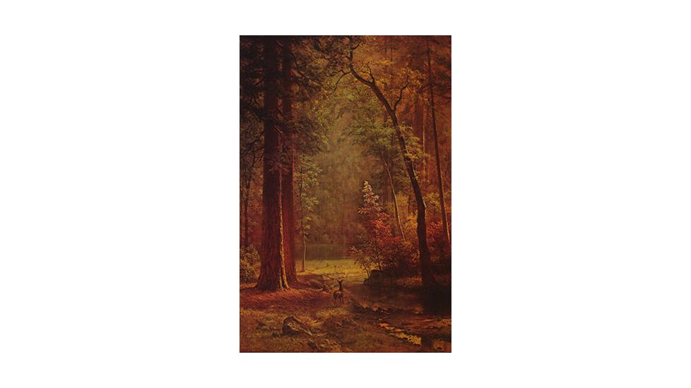 iCanvas Dogwood By Albert Bierstadt Canvas Print, Multi, 26x18x0.75 1490-1PC3-26x18
