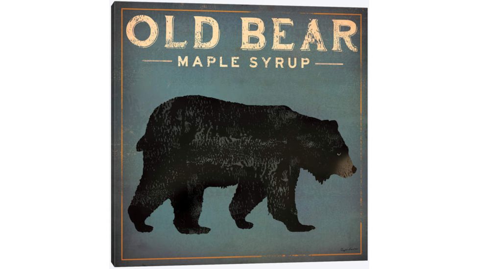 iCanvas Old Bear By Ryan Fowler Canvas Print, Multi, 37x37x0.75 WAC1138-1PC3-37x37