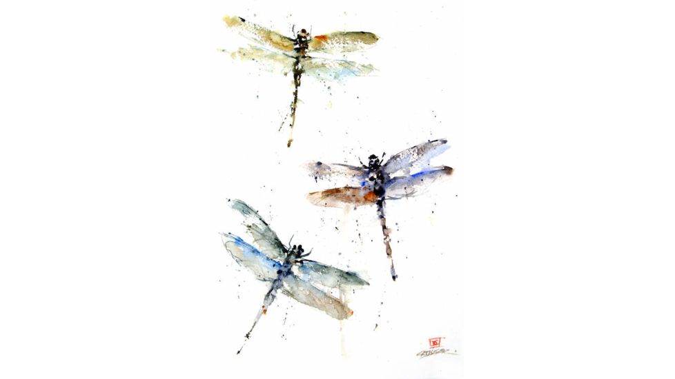 iCanvas Dragonflies by Dean Crouser Canvas Print, Multi, 26x18x0.75 DCR8-1PC3-26x18