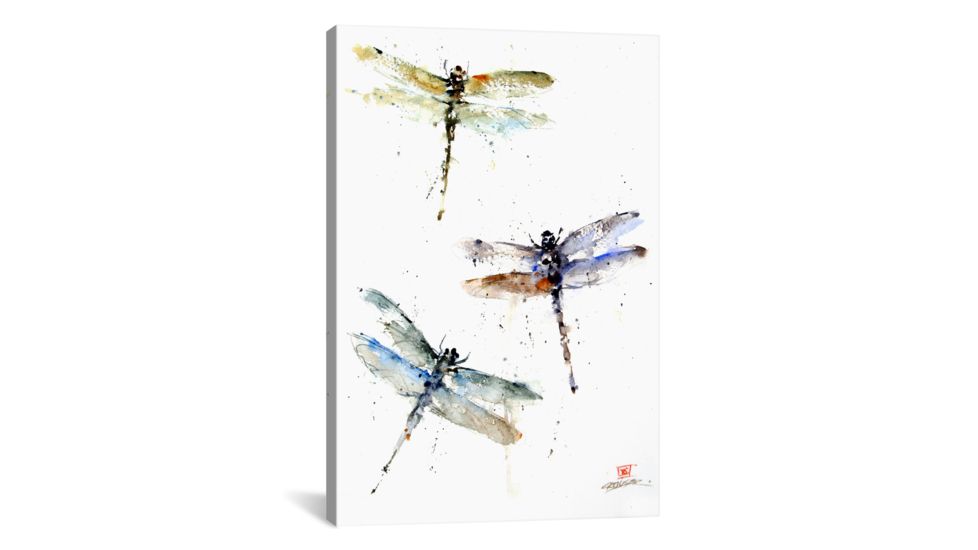 iCanvas Dragonflies by Dean Crouser Canvas Print, Multi, 26x18x0.75 DCR8-1PC3-26x18