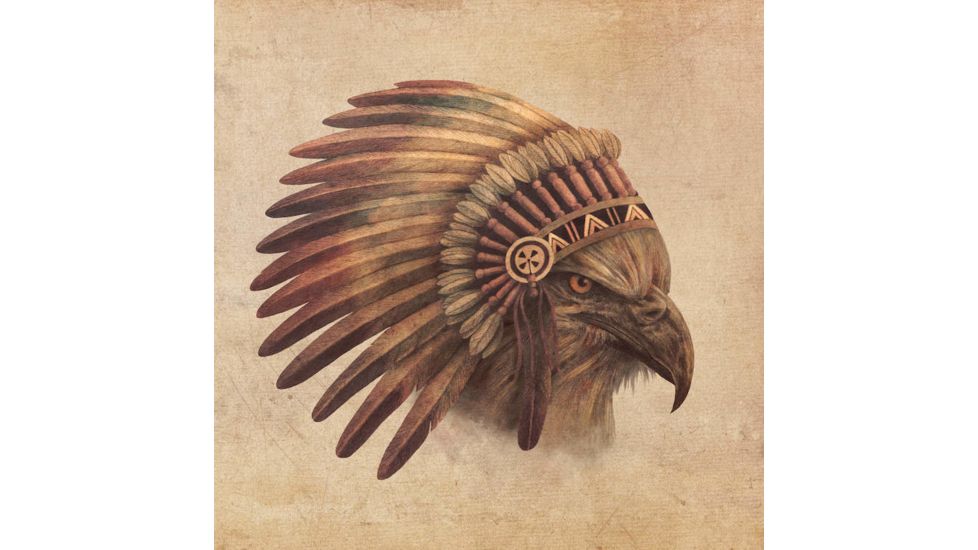 iCanvas Eagle Chief #2 by Terry Fan Canvas Print, Multi, 37x37x0.75 TFN55-1PC3-37x37