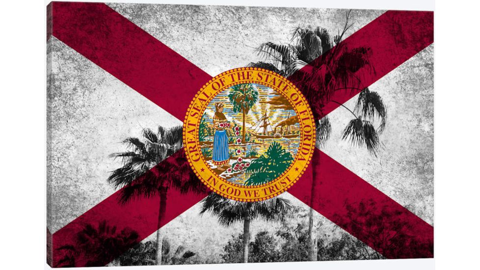 iCanvas Florida Flag, Grudge Palm Trees Canvas Print, Multi, 40x26x0.75 FLG597-1PC3-40x26