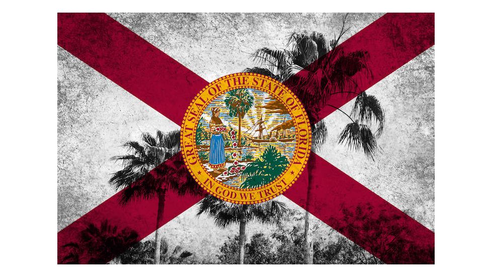 iCanvas Florida Flag, Grudge Palm Trees Canvas Print, Multi, 40x26x0.75 FLG597-1PC3-40x26