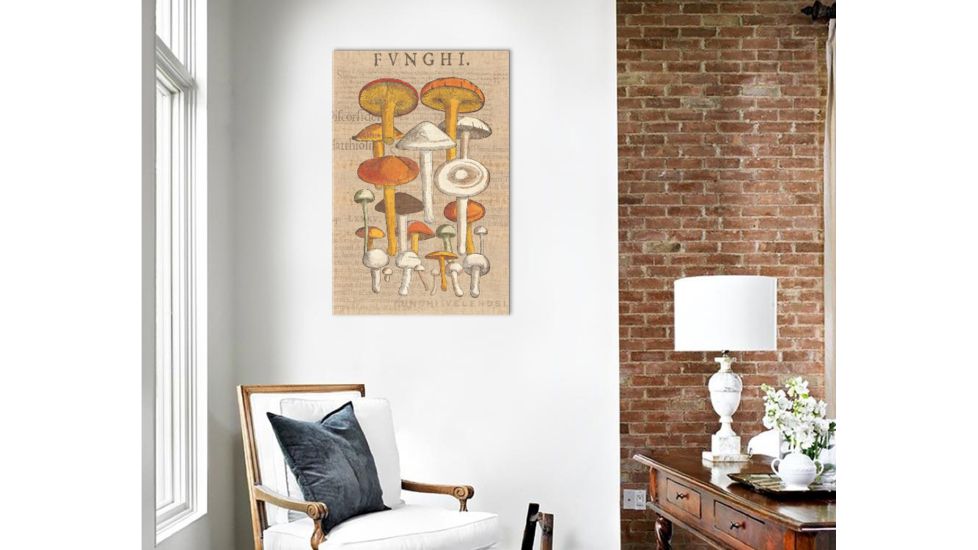 iCanvas Funghi Velenosi II By Wild Apple Portfolio Canvas Print, Multi, 40x26x0.75 WAC1972-1PC3-40x26