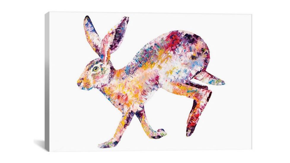 iCanvas Hare by Becksy Canvas Print, Multi, 12 x 18 BEC22-1PC3-18x12