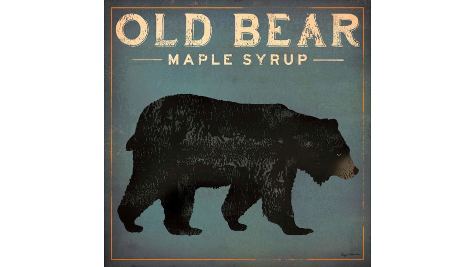 iCanvas Old Bear By Ryan Fowler Canvas Print, Multi, 37x37x0.75 WAC1138-1PC3-37x37