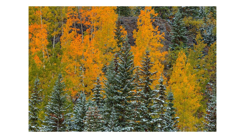 iCanvas Pastel Splash by William Sherrell Canvas Print, Multi, 18x12 SHL161-1PC3-18x12