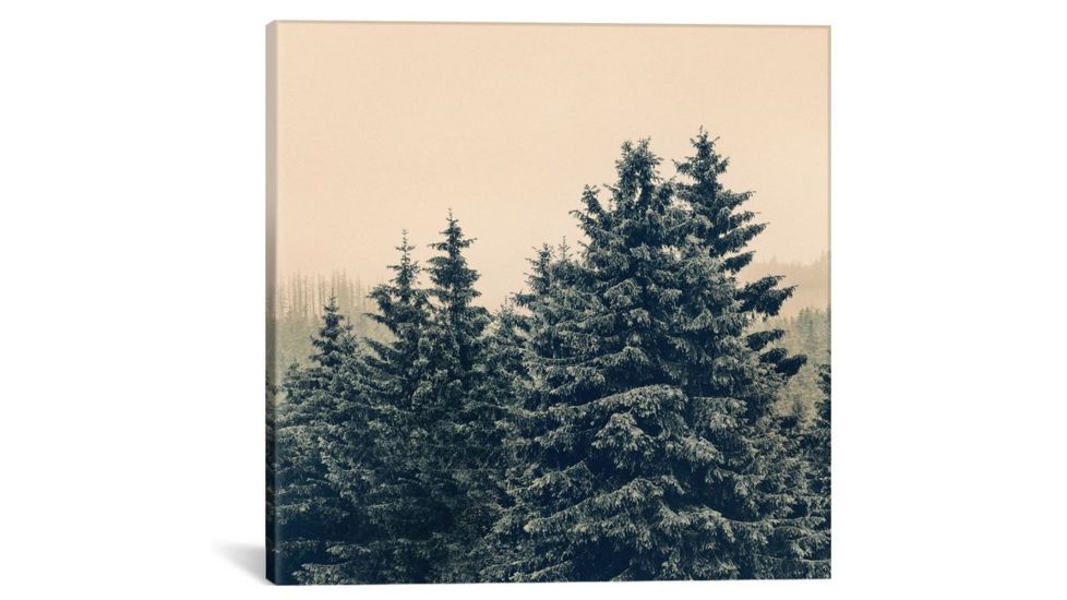 iCanvas Strange Days by Tordis Kayma Canvas Print, Multi, 18 x 18 TDS16-1PC3-18x18