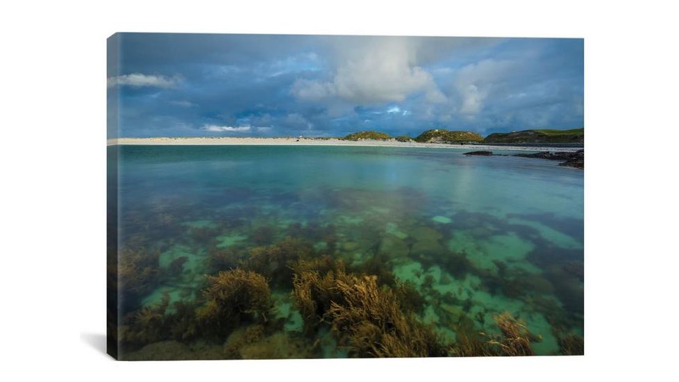 iCanvas Underwater Garden I, Dog's Bay, Connemara, County Galway, Connacht Province, Republic Of Ireland by Gareth McCormack Canvas Print, Multi, 12 x 18 GAR97-1PC3-18x12