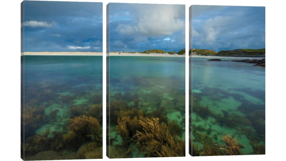 iCanvas Underwater Garden I, Dog's Bay, Connemara, County Galway, Connacht Province, Republic Of Ireland by Gareth McCormack Canvas Print, Multi, 40 x 60 GAR97-3PC3-60x40
