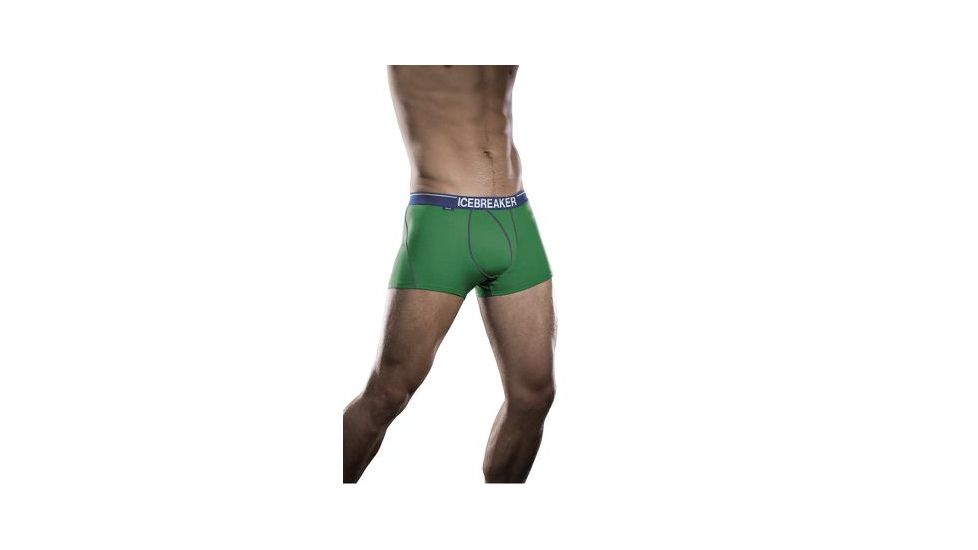 Icebreaker Anatomica Boxer Brief w/Fly - Men's-Turf-Small