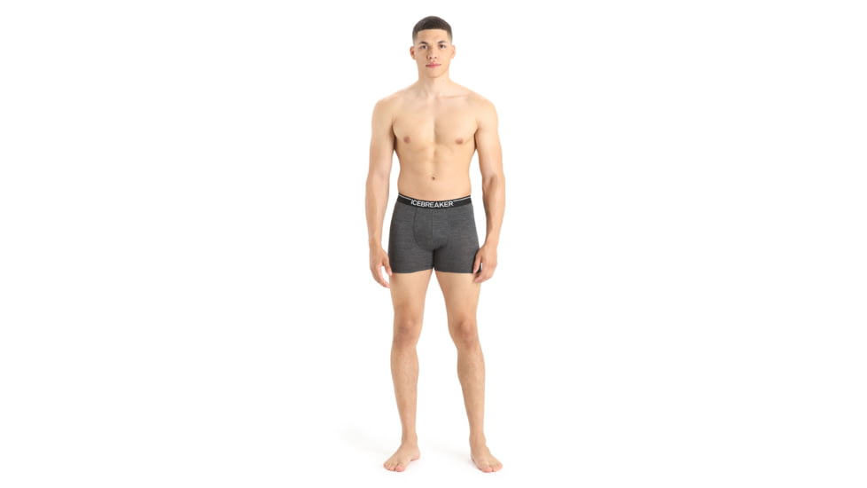 Icebreaker Anatomica Boxers - Mens, Jet Heather, Small, IB103029011S