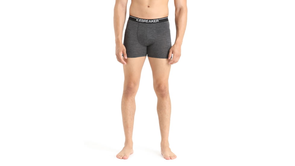 Icebreaker Merino 150 Anatomica Boxers - Men's, Jet Heather, Small, IB103029011S