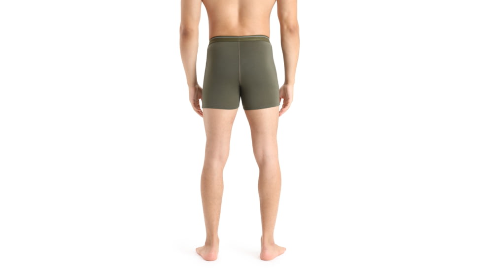 Icebreaker Merino 150 Anatomica Boxers - Men's, Loden, Small, IB103029069S