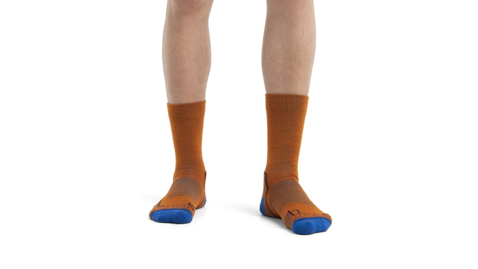 Icebreaker Hike+ Light Crew Socks - Mens, Earth/Nightshade/Lazurite, Extra Large, IB105103925XL