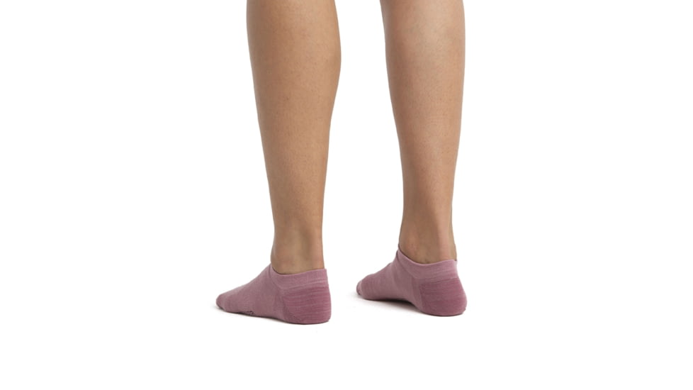 Icebreaker Lifestyle Fine Gauge No Show Socks - Women's, Crystal/Nightshade, Large, IB0A56CE913L