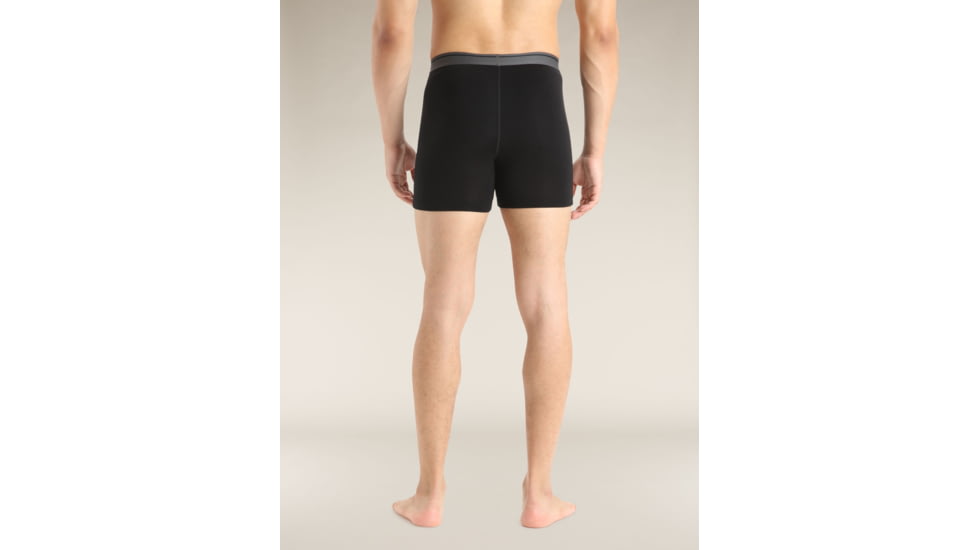 Icebreaker Merino 150 Anatomica Boxers - Mens, Black, Small, IB103029001S