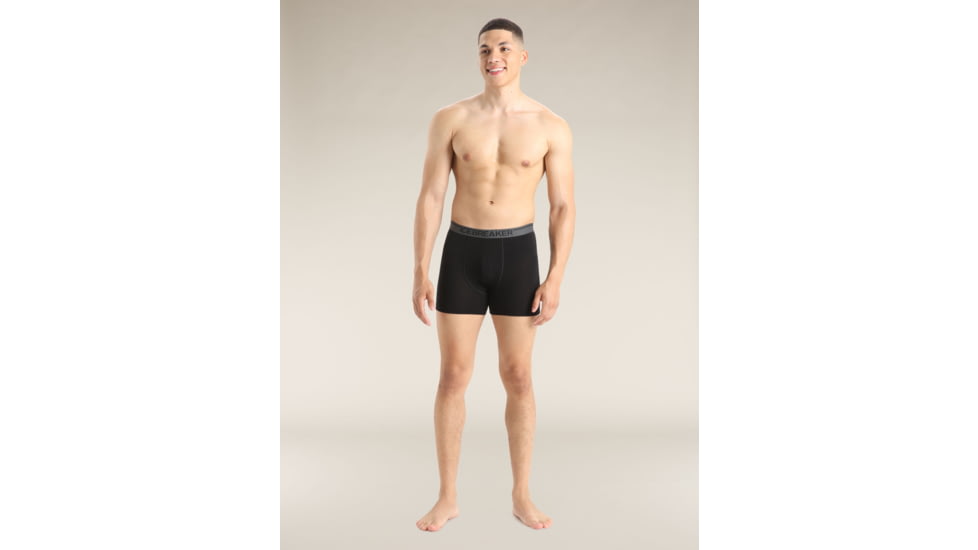 Icebreaker Merino 150 Anatomica Boxers - Mens, Black, Small, IB103029001S