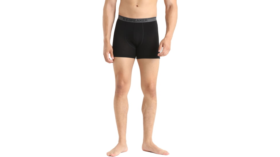 Icebreaker Merino 150 Anatomica Boxers - Mens, Black, Small, IB103029001S