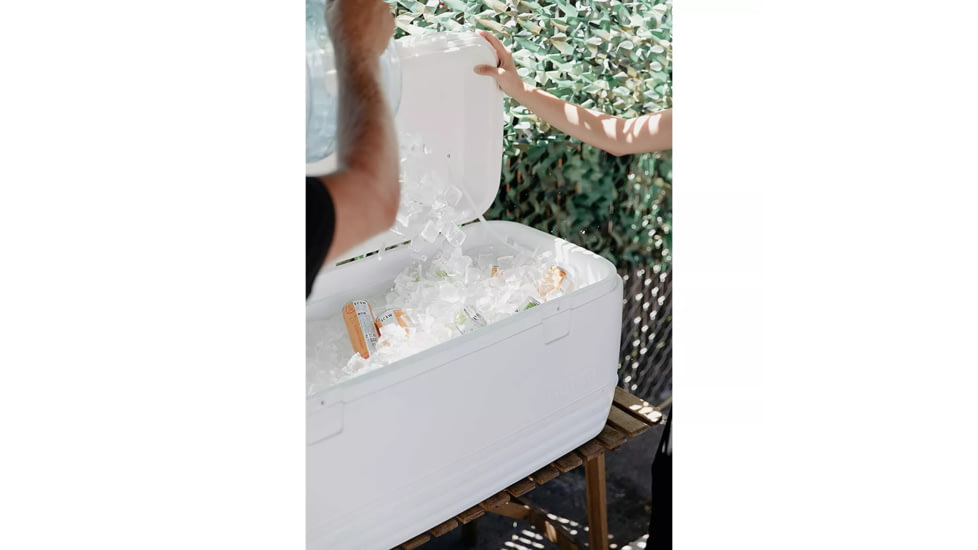 Igloo Polar 120