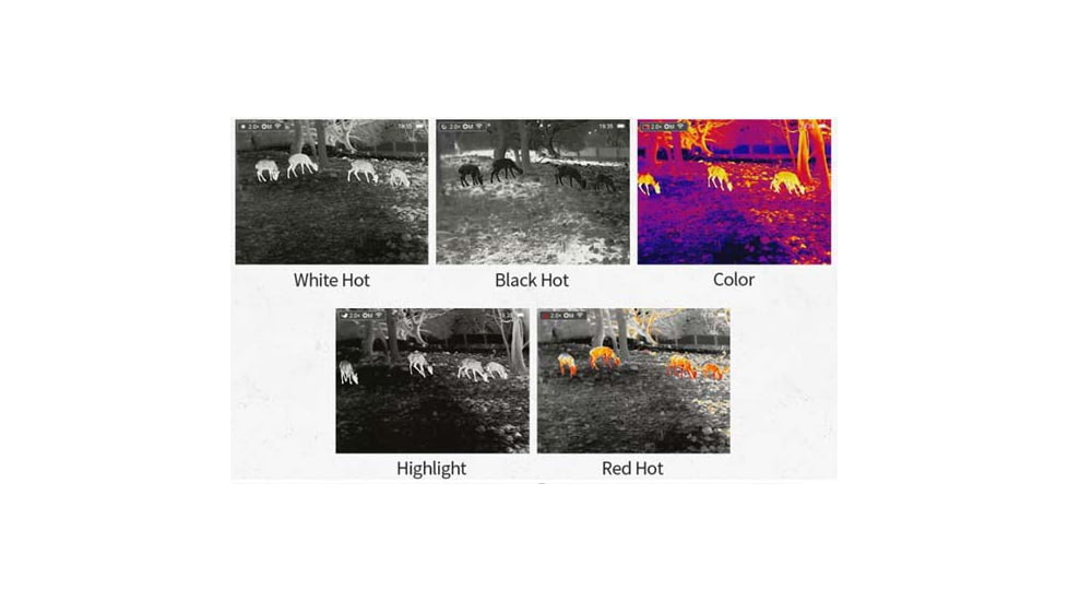 Infiray Affo AP09 Handheld Monoculars, 1.3x9mm, 20mm Eye Relief, Grey, Medium, AP09