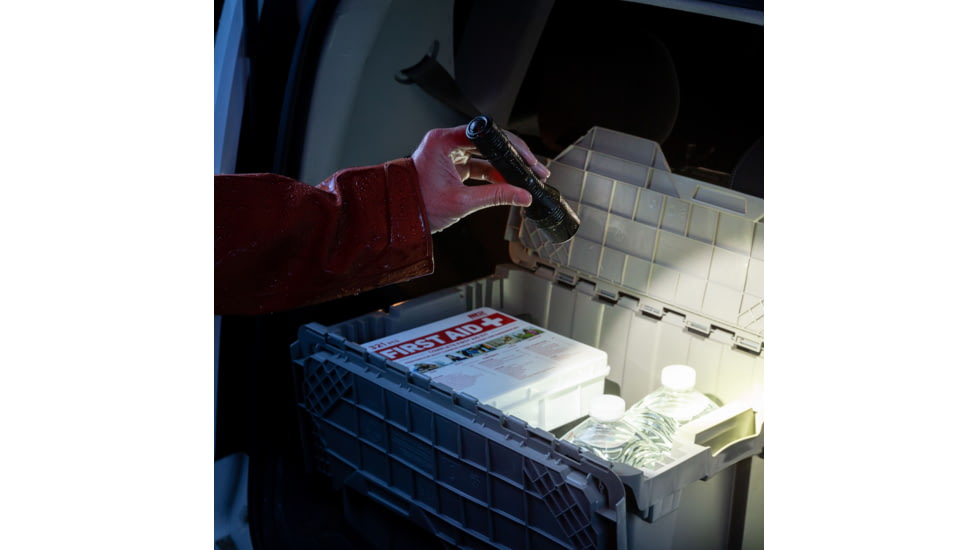 INova T8R Powerswitch Flashlight, T8RA-01-R8