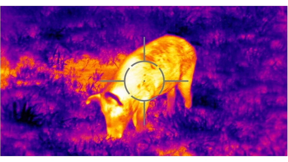 Traditional thermal infrared view. 