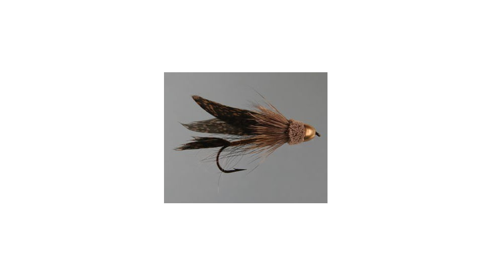 Jackson Cardinal Streamers